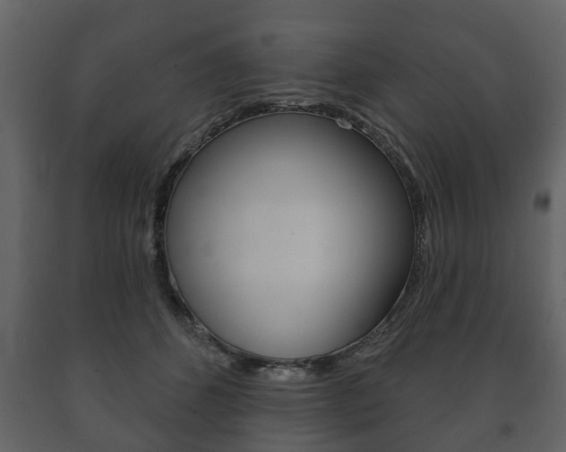 X0000091700512200708240937