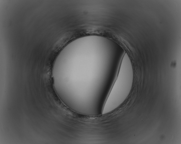 X0000091700513200708240937