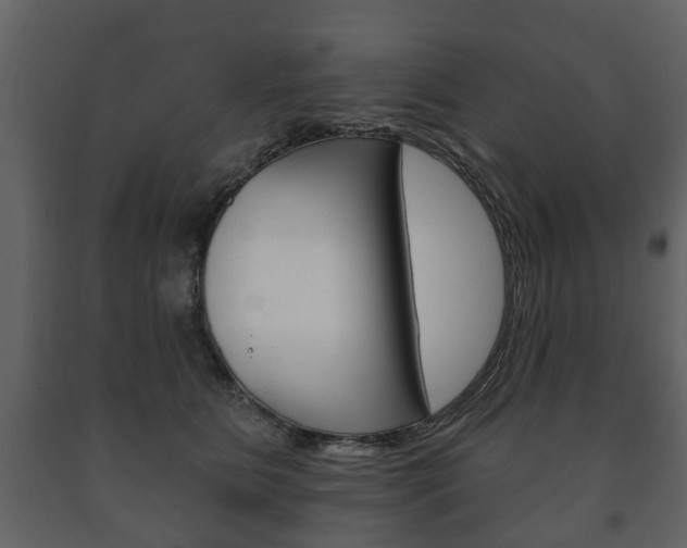 X0000091700515200708240937