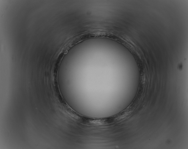 X0000091700516200708240937