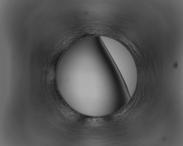 X0000091700517200708240937