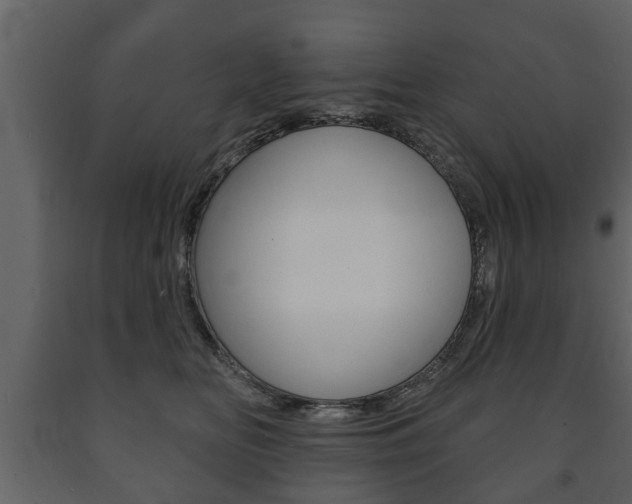 X0000091700518200708240937
