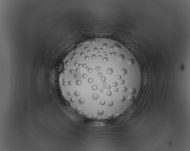 X0000091700519200708240937