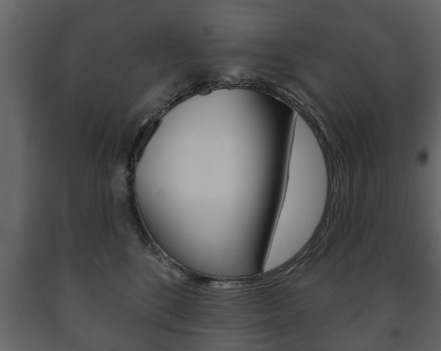 X0000091700520200708240937