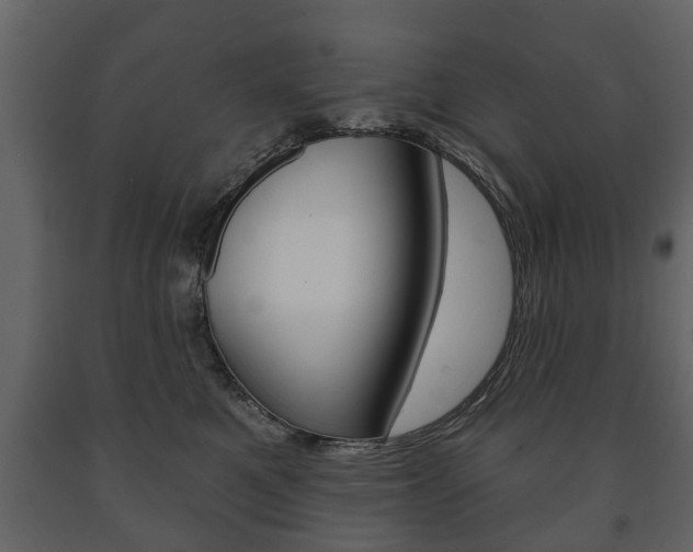 X0000091700521200708240937