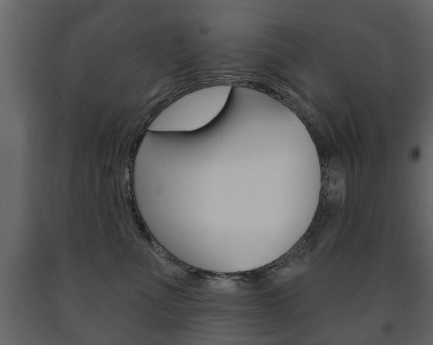 X0000091700523200708240937