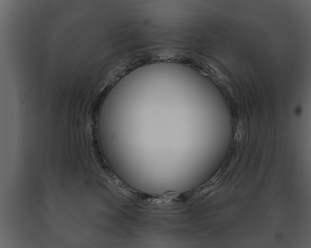 X0000091700524200708240937