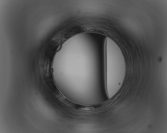 X0000091700525200708240937