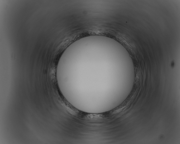 X0000091700526200708240937