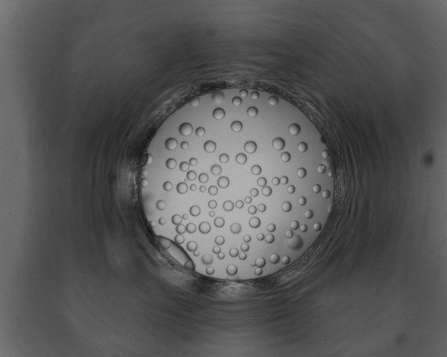 X0000091700527200708240937