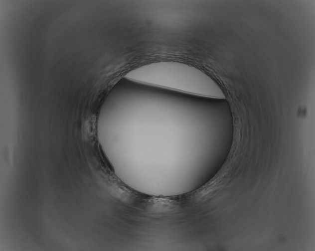 X0000091700528200708240937