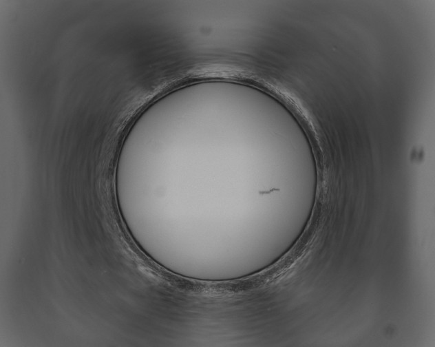 X0000091700529200708240936