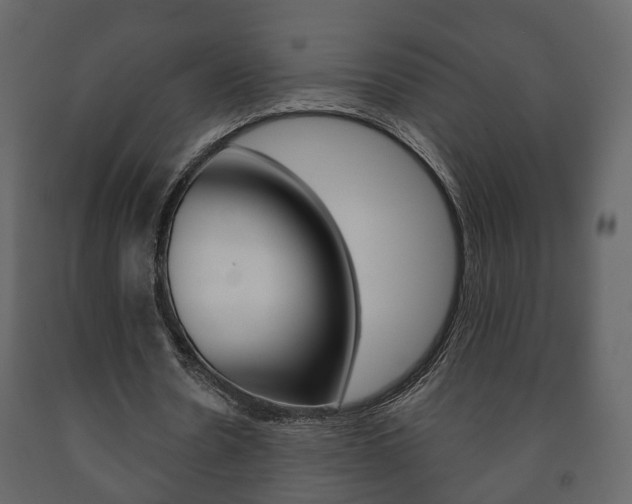 X0000091700530200708240936