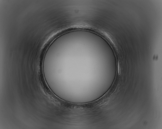 X0000091700531200708240936