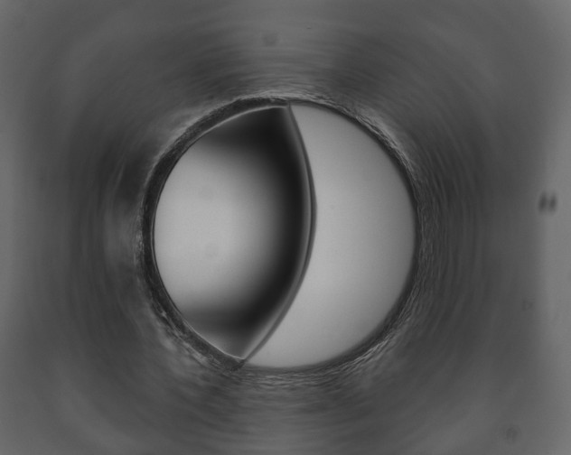 X0000091700532200708240936