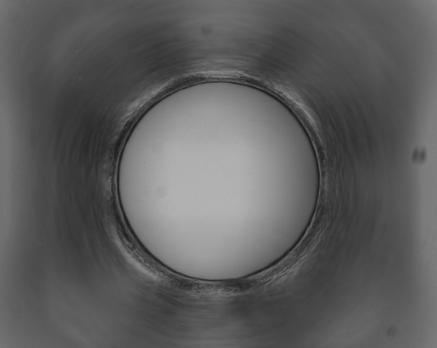 X0000091700533200708240936