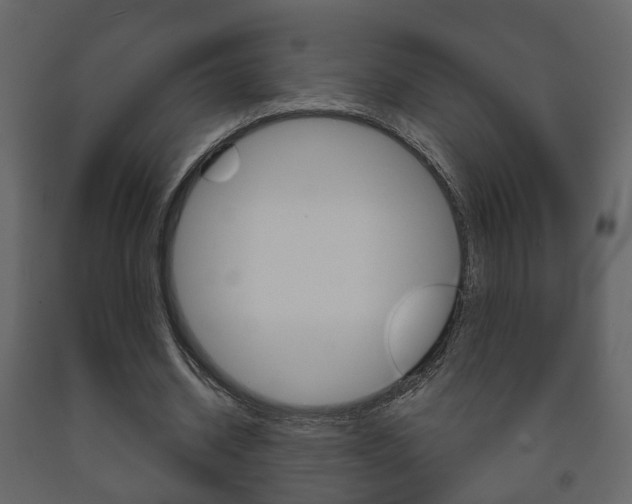 X0000091700534200708240936
