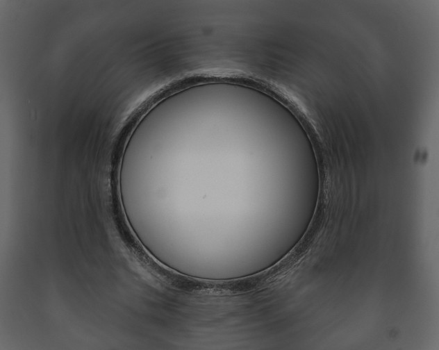 X0000091700535200708240936
