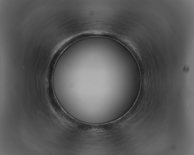 X0000091700536200708240936