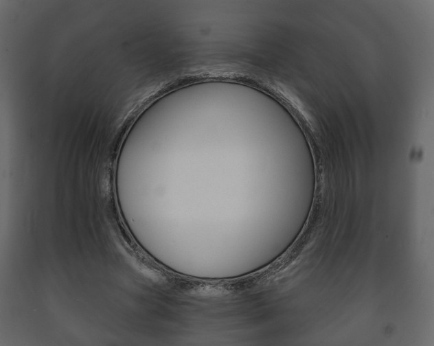 X0000091700537200708240936