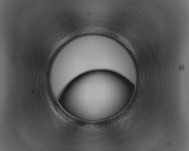 X0000091700538200708240936