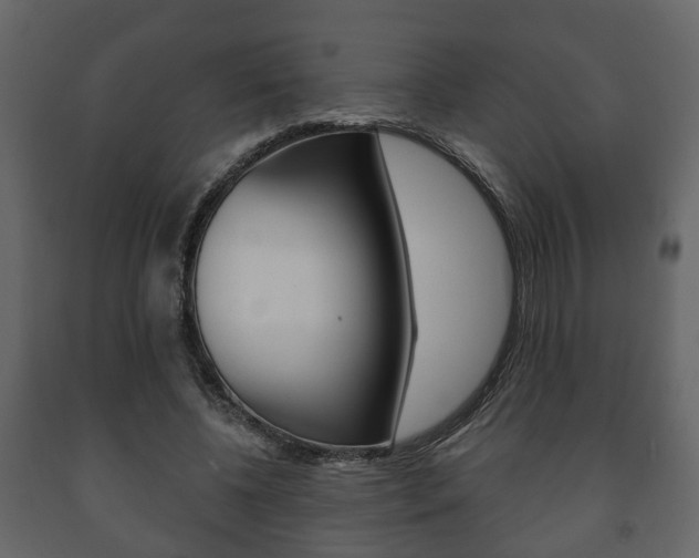 X0000091700540200708240936