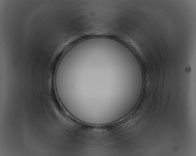 X0000091700542200708240936