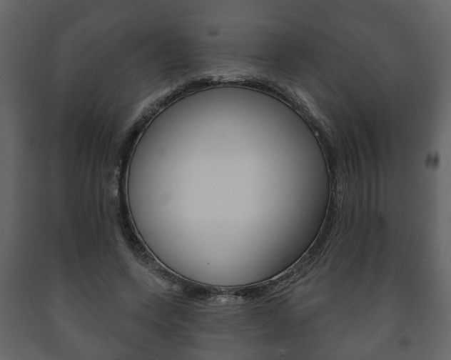X0000091700543200708240936
