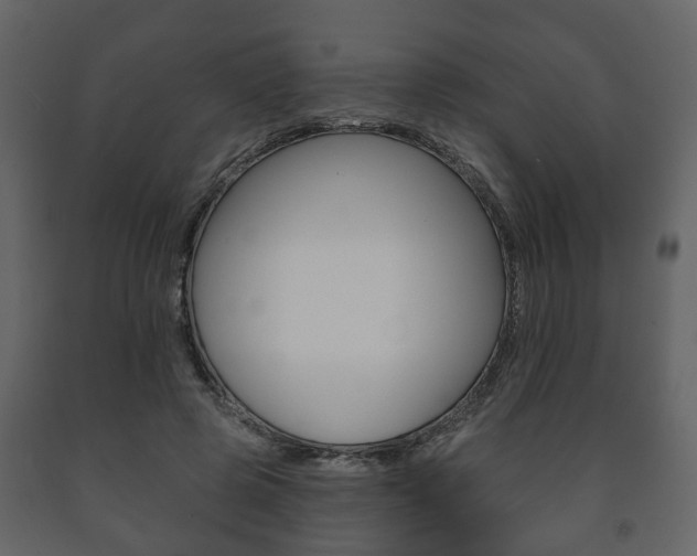 X0000091700545200708240936