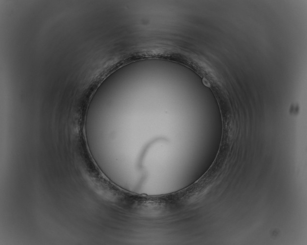 X0000091700546200708240936