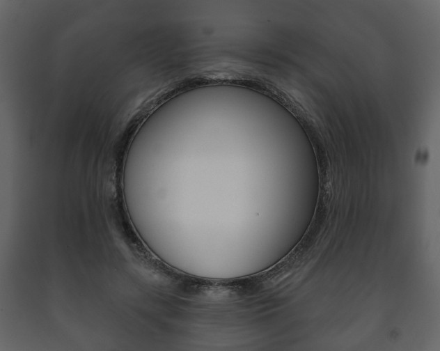 X0000091700547200708240936