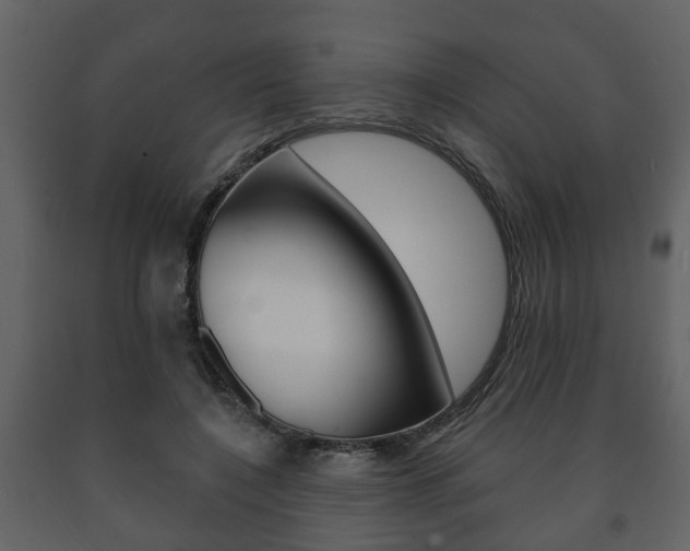 X0000091700548200708240936