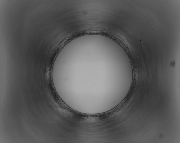 X0000091700549200708240936