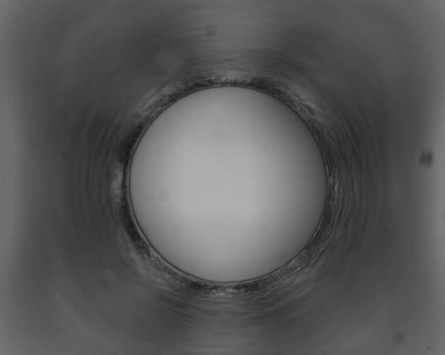 X0000091700550200708240936