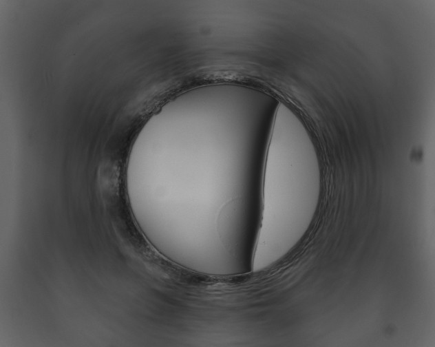 X0000091700551200708240936