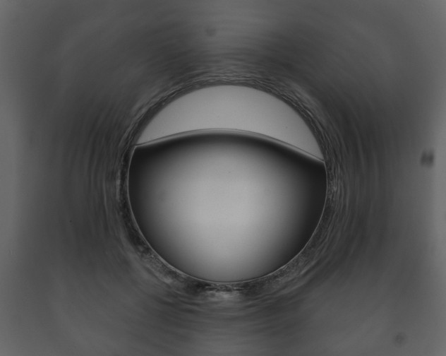 X0000091700552200708240936