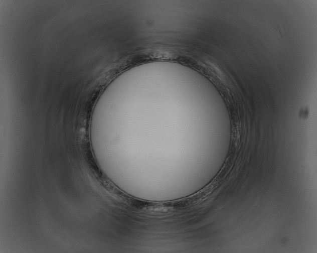 X0000091700553200708240936