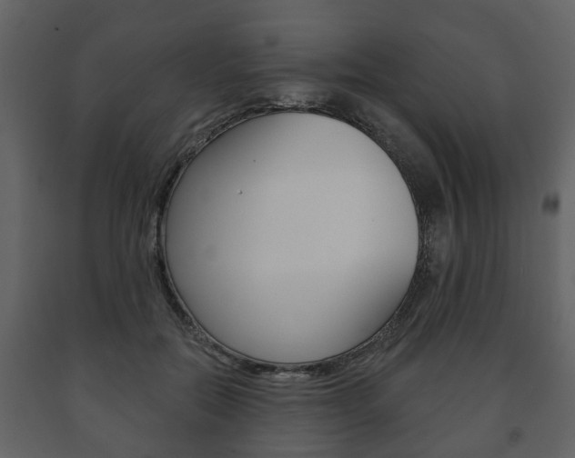X0000091700554200708240936