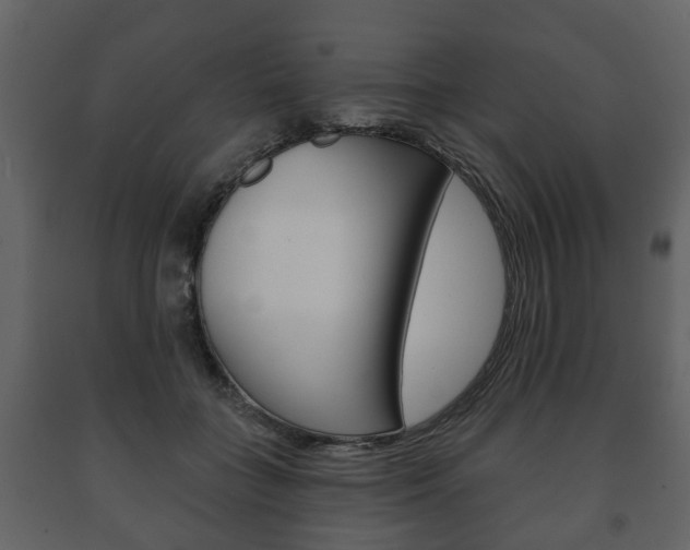 X0000091700555200708240936