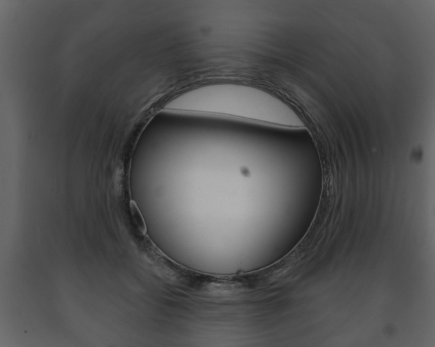 X0000091700556200708240937