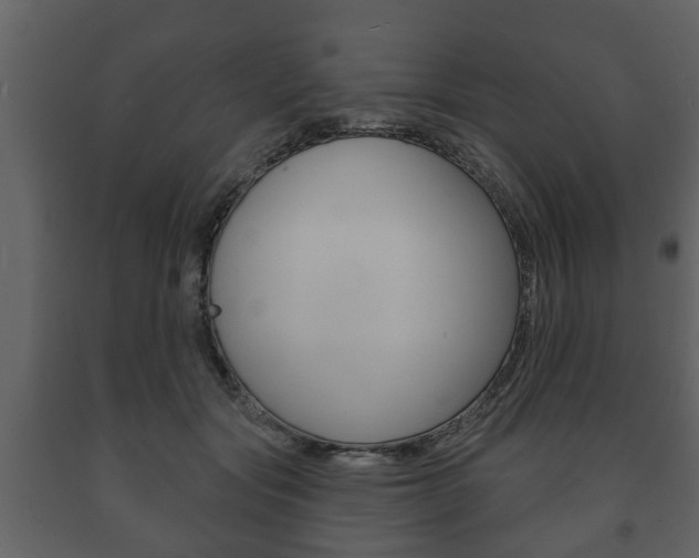 X0000091700557200708240937