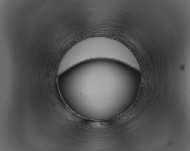 X0000091700558200708240937
