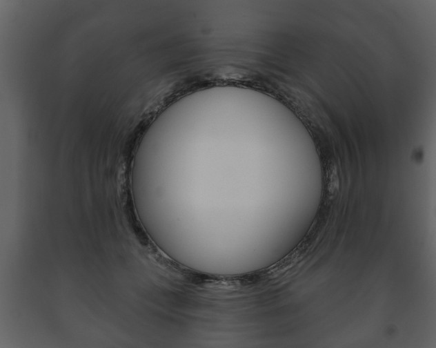 X0000091700559200708240937