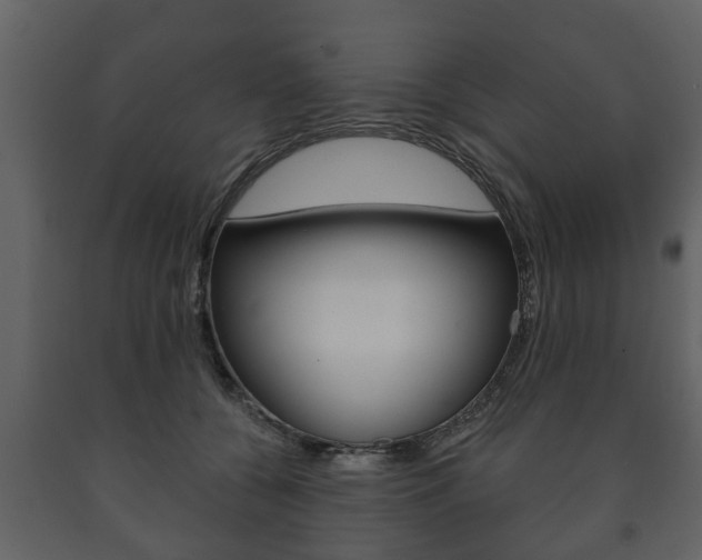 X0000091700560200708240937