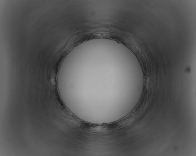 X0000091700561200708240937