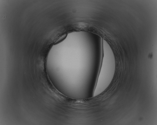 X0000091700562200708240937