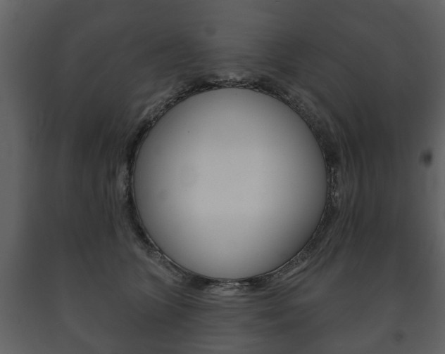 X0000091700563200708240937