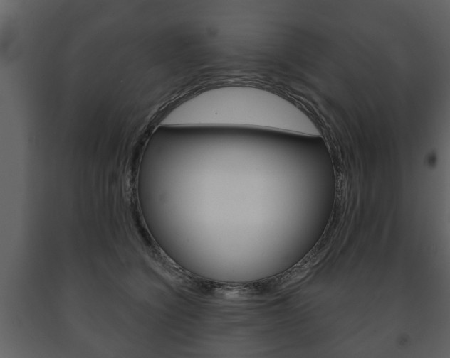 X0000091700564200708240937