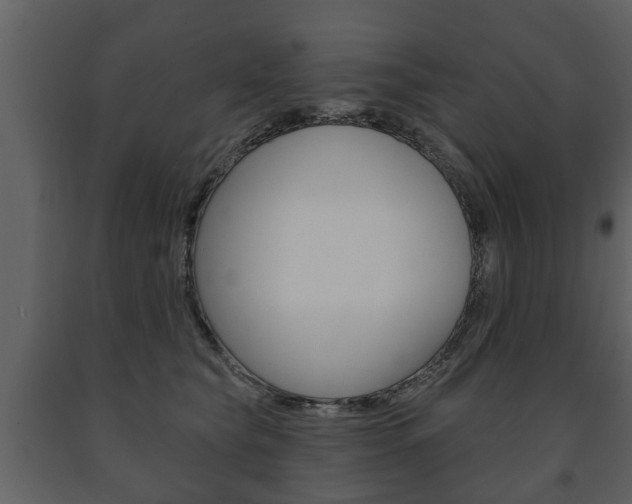 X0000091700565200708240937