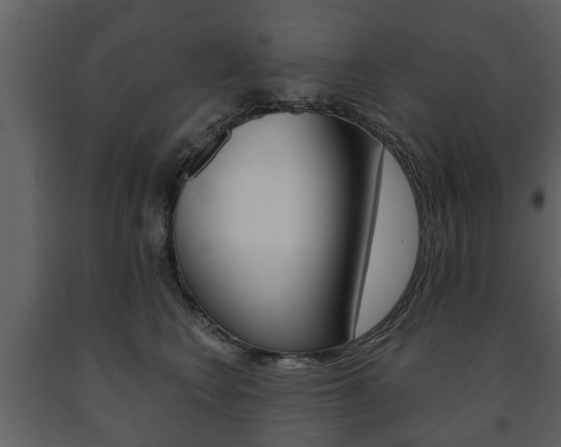 X0000091700566200708240937